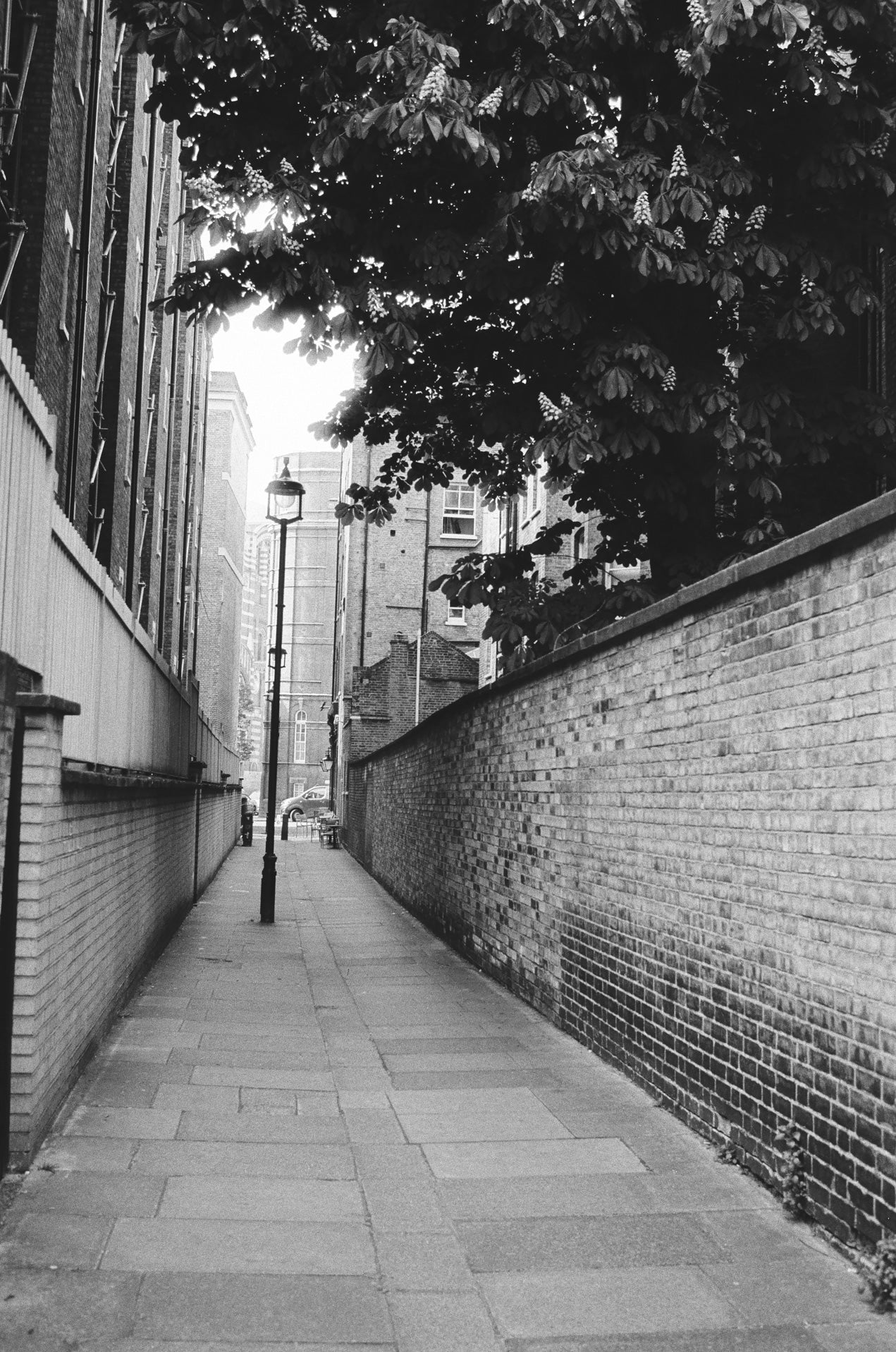 Kentmere 200 - B&W 35mm - 30.5m Bulk Film