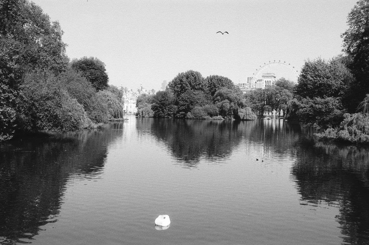 Kentmere 200 - B&W 35mm - 30.5m Bulk Film