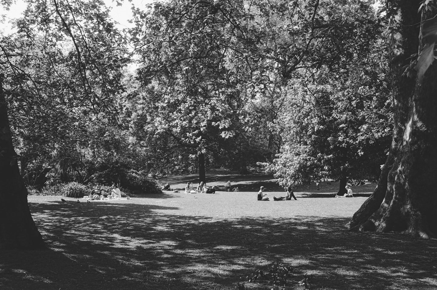 Kentmere 200 - B&W 35mm - 30.5m Bulk Film