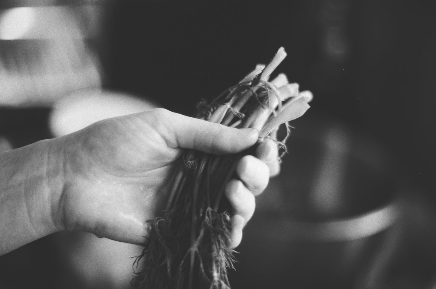 Kentmere 200 - B&W 35mm - 30.5m Bulk Film