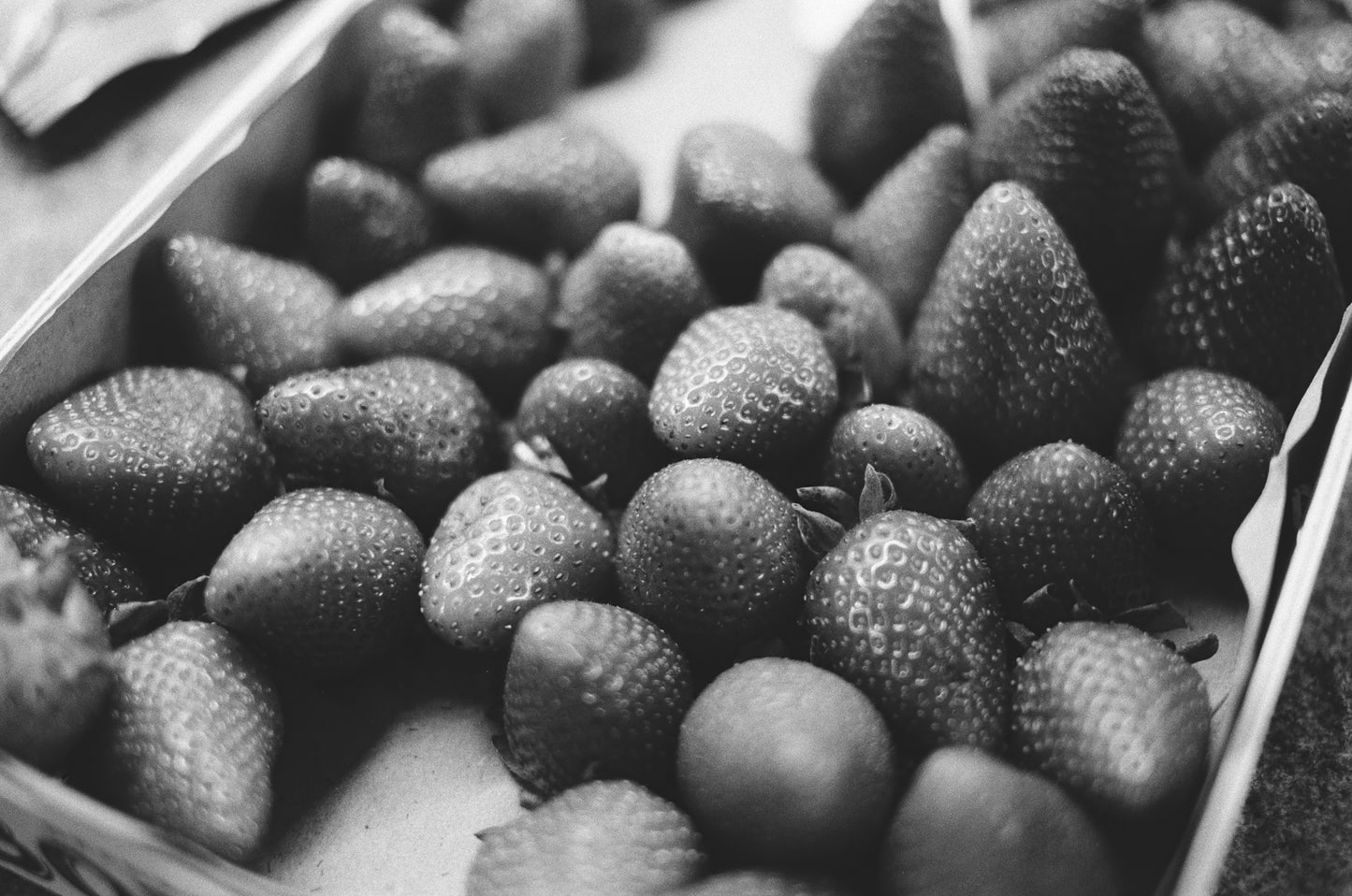 Kentmere 200 - B&W 35mm - 30.5m Bulk Film