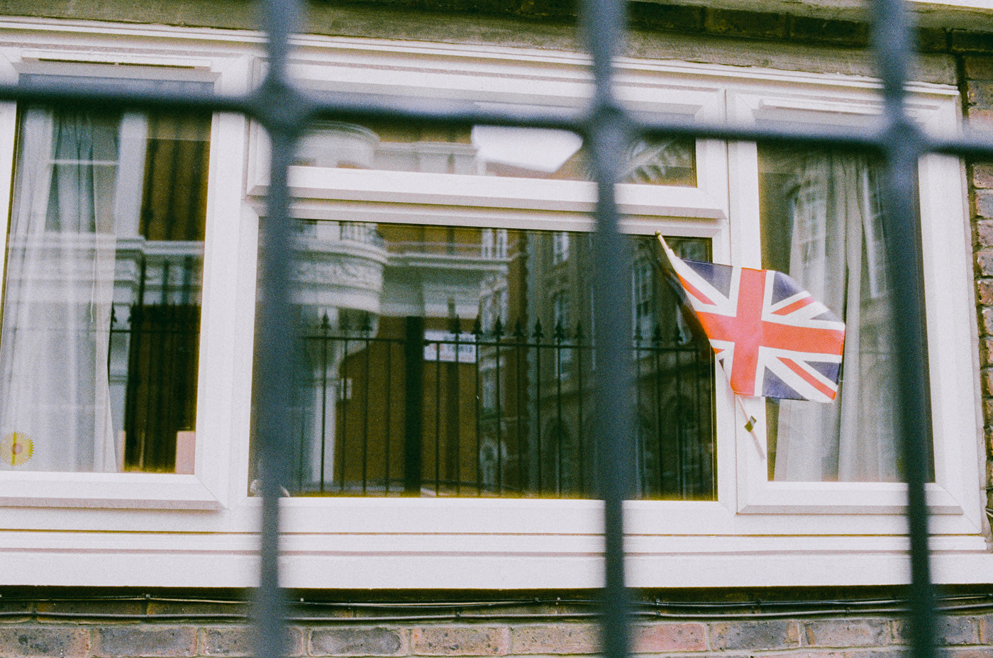 Harman Phoenix II - 35mm Colour Film