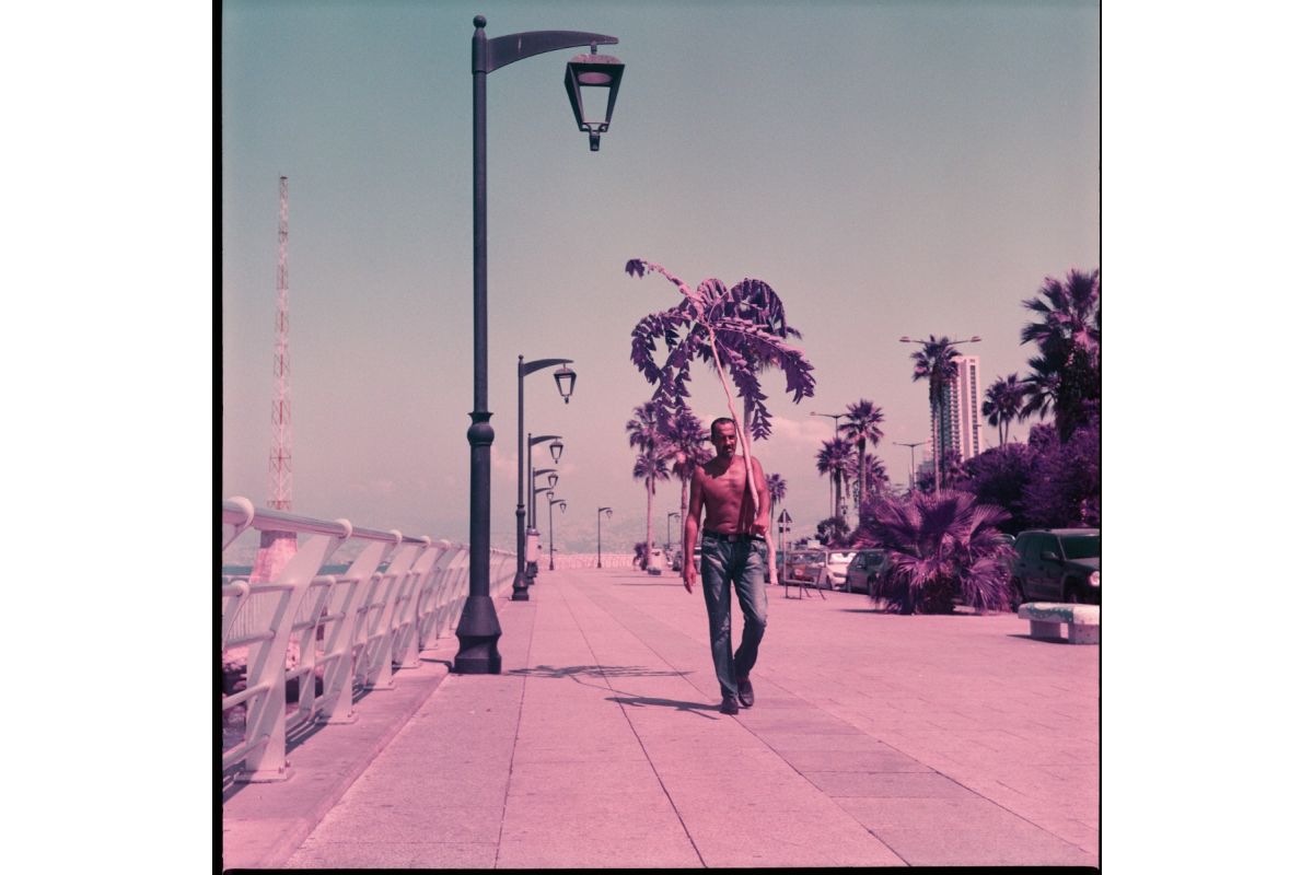 Lomography Purple 100-400 2021 Pétillant - 120 Medium Format