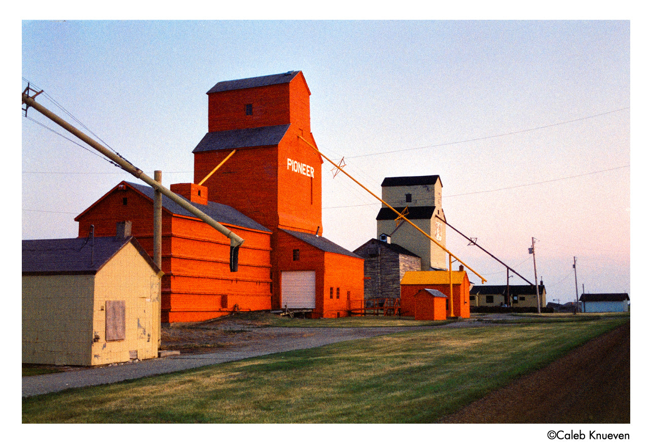 Harman Phoenix II - 35mm Colour Film