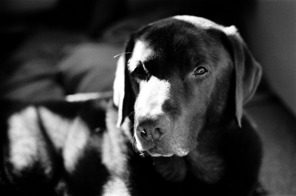 Rollei Superpan 200 - 120 Medium Format