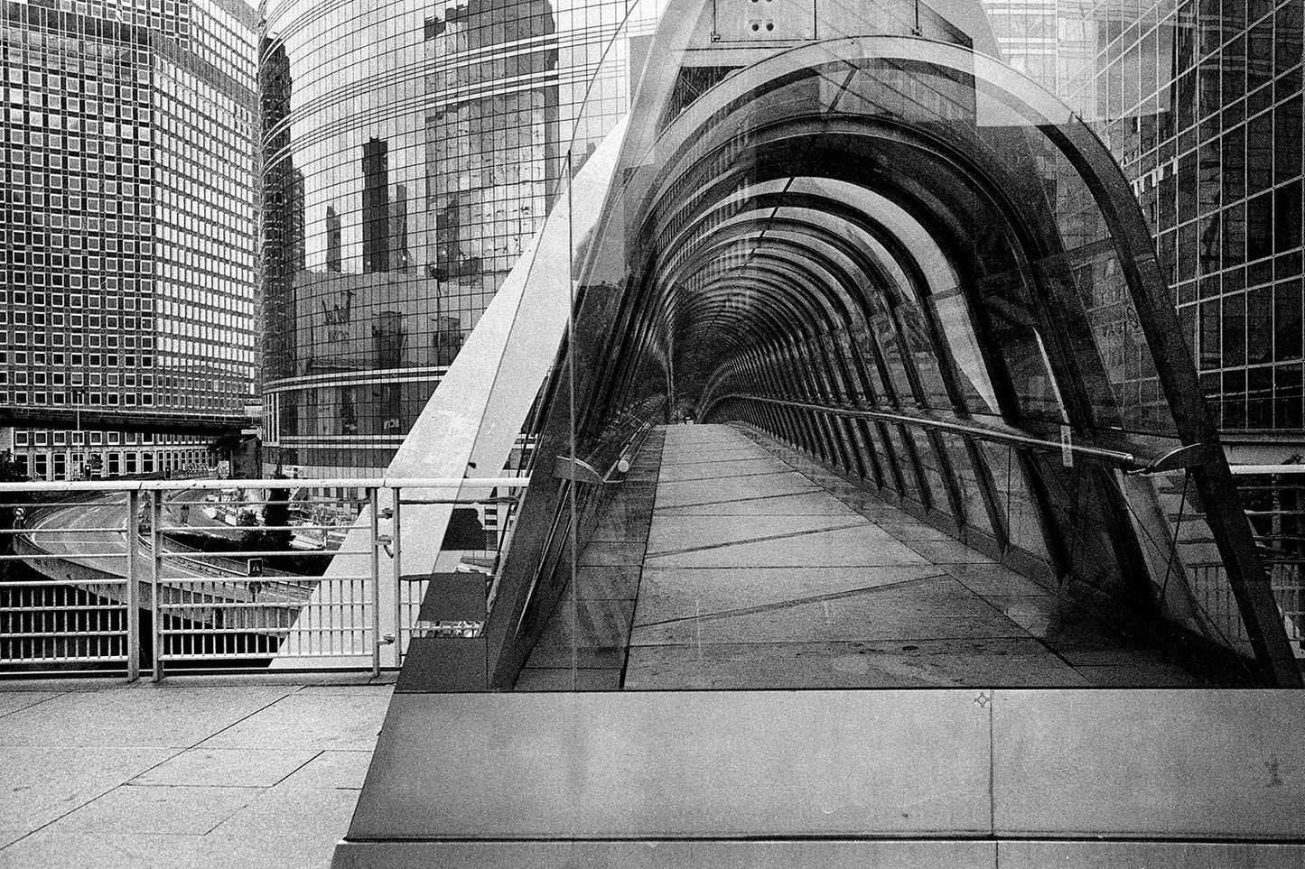 Bergger Pancro 400 - B&W 35mm