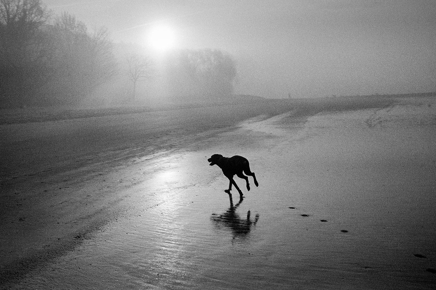 Bergger Pancro 400 - B&W 35mm