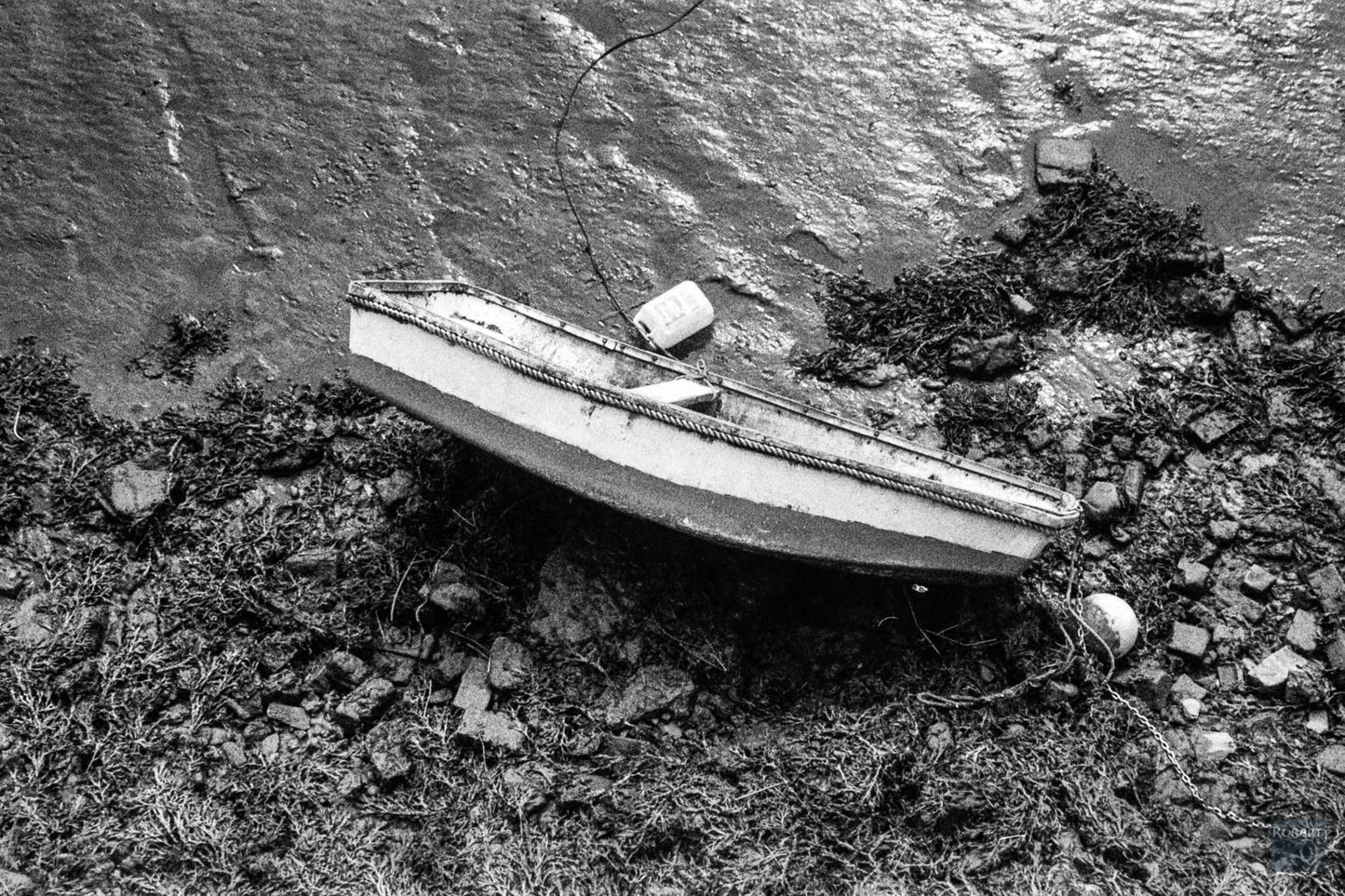 DragonFilm No 2 - 35mm B&W film