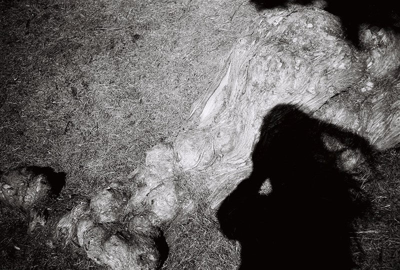 Lomography Earl Grey 100 - 35mm B&W Film