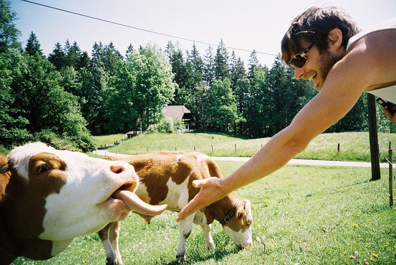 Lomography Color Negative 400 - 35mm Film