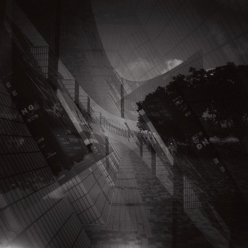 Lomography  Lady Grey ISO 400 - 120 B&W Medium Format