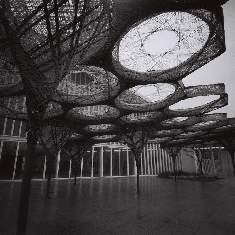 Lomography  Lady Grey ISO 400 - 120 B&W Medium Format