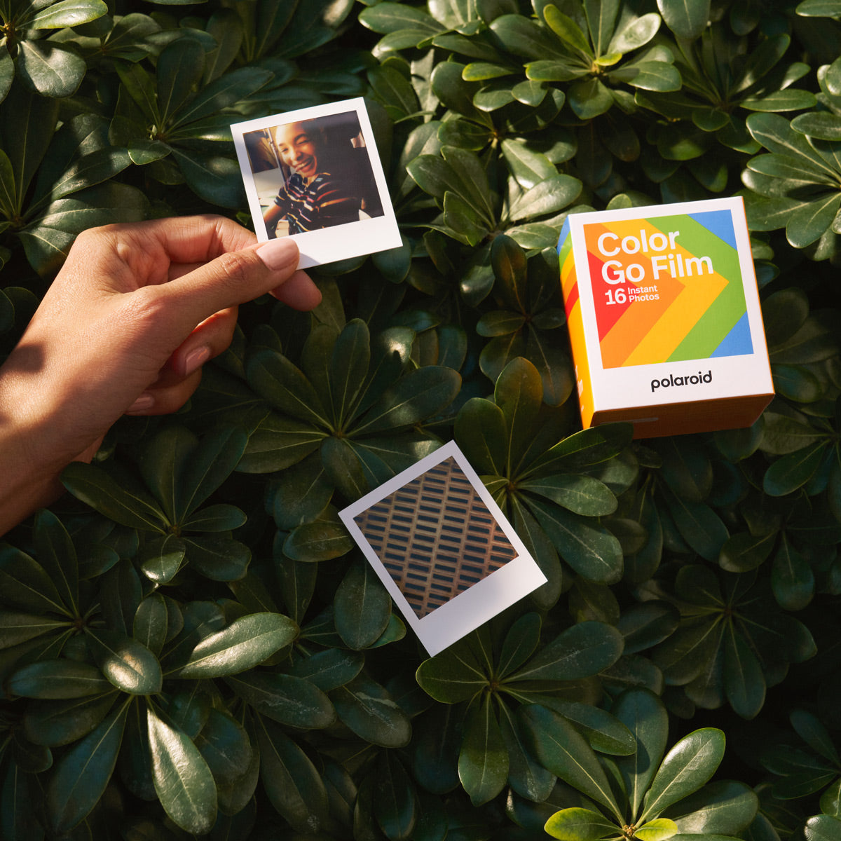 Polaroid Go Color Film