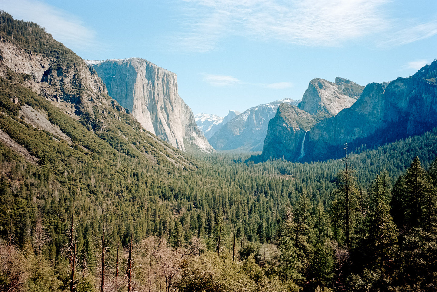 Kodak Portra 160 - 35mm Film