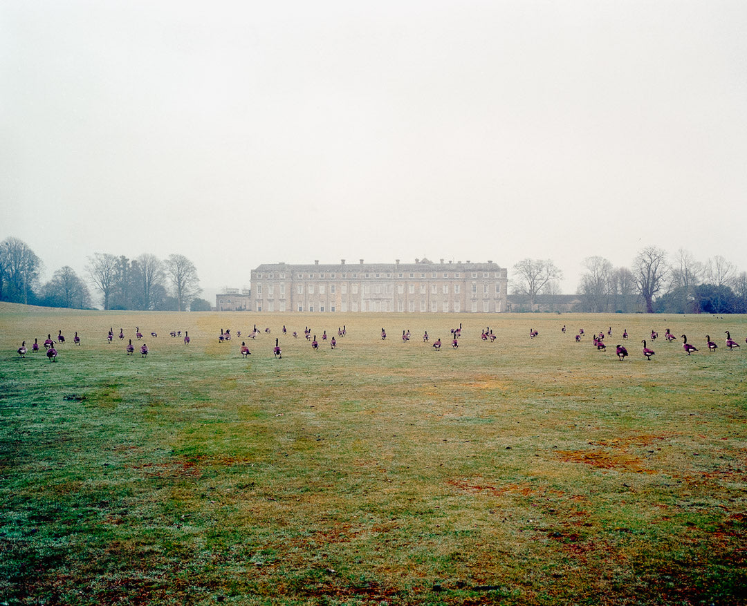 Kodak Portra 800 - 120 Medium Format Film