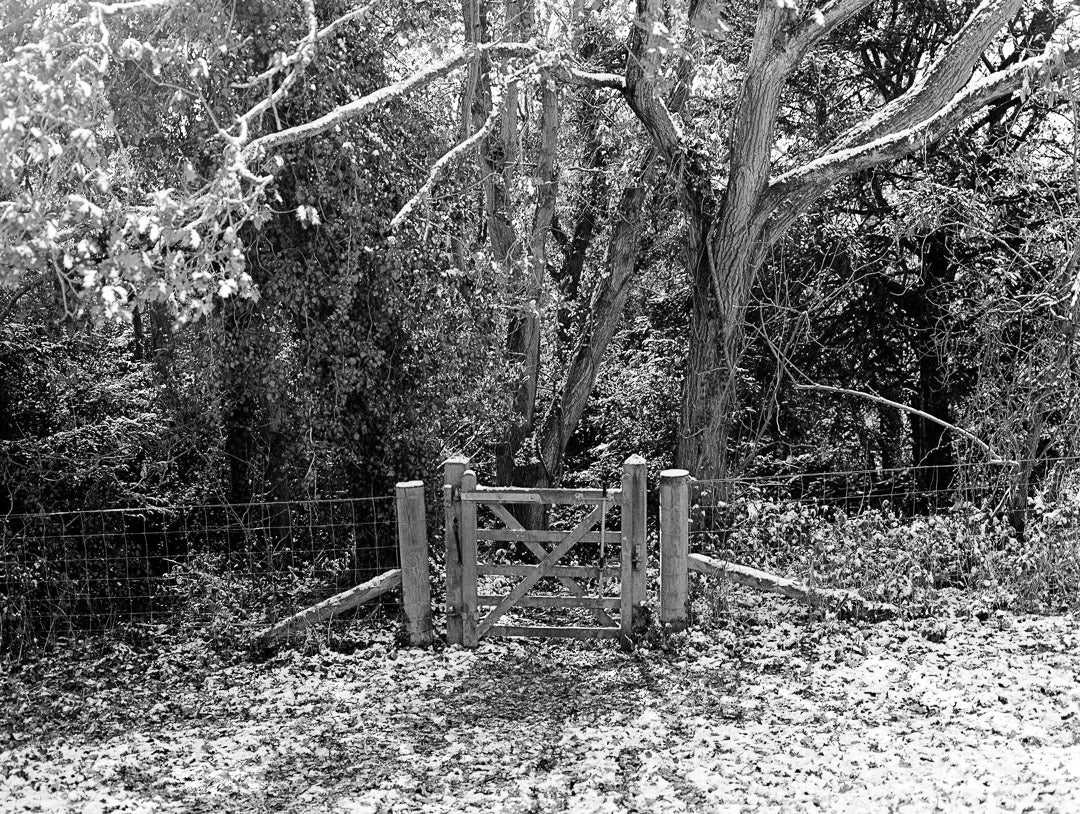 Kodak T-Max 400 - B&W 120 Film