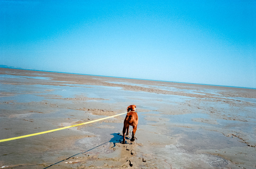 Kodak Pro Image 100 - 35mm Film