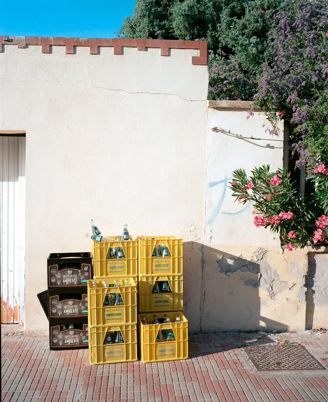 Kodak Ektar 100 - 120 Medium Format