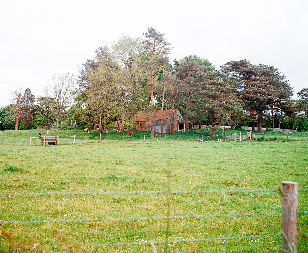 Kodak Gold 200 - 120 Medium Format Colour Film