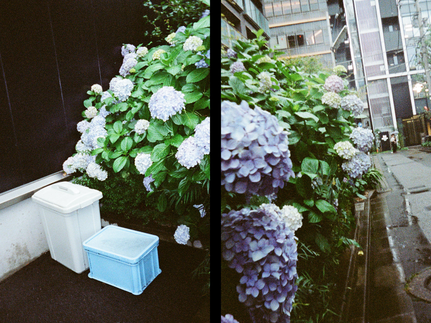 Kodak Ektar H35N - 35mm Half Frame Camera