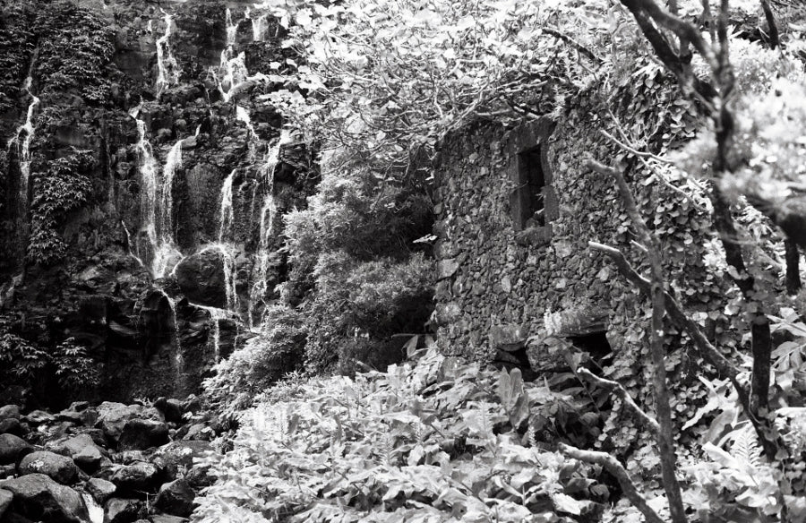 WASHI Z - ISO 400 - B&W 35mm