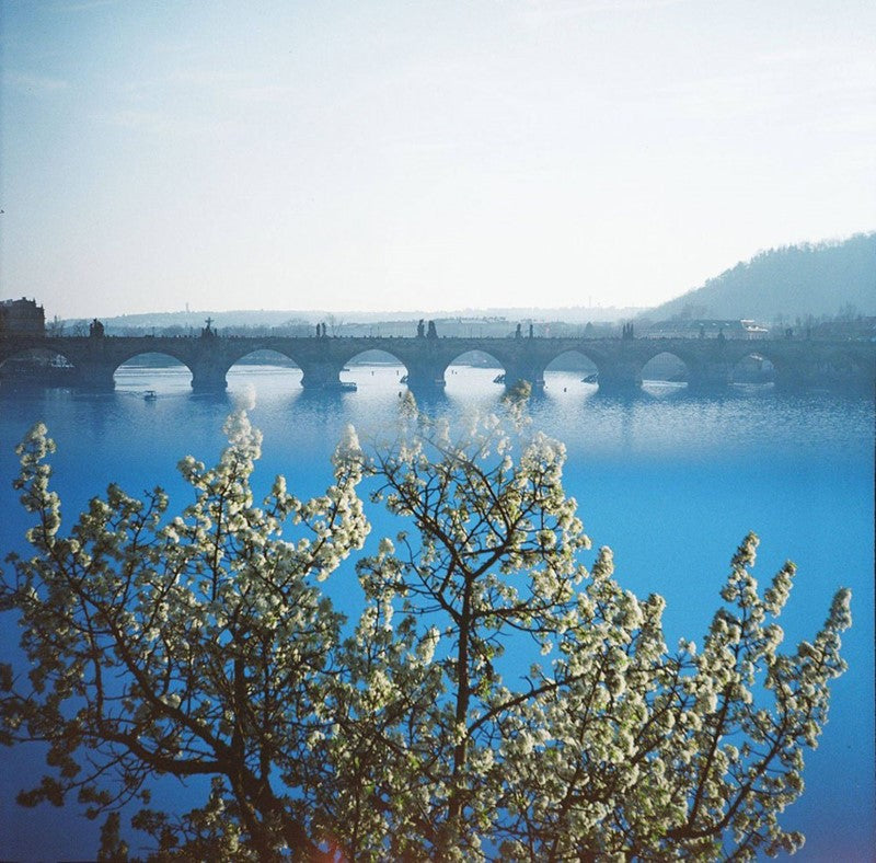 Lomography Color Negative 400 - 120 Medium Format