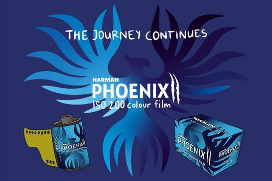 Harman Phoenix II 35mm - 1st Roll Impressions & Sample Images
