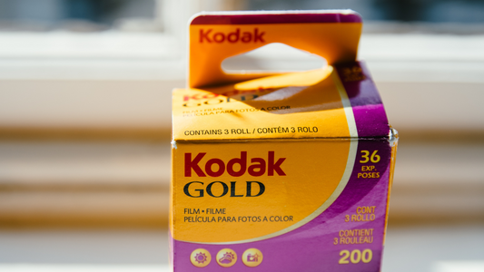 Our Reasons to Love Kodak Gold!