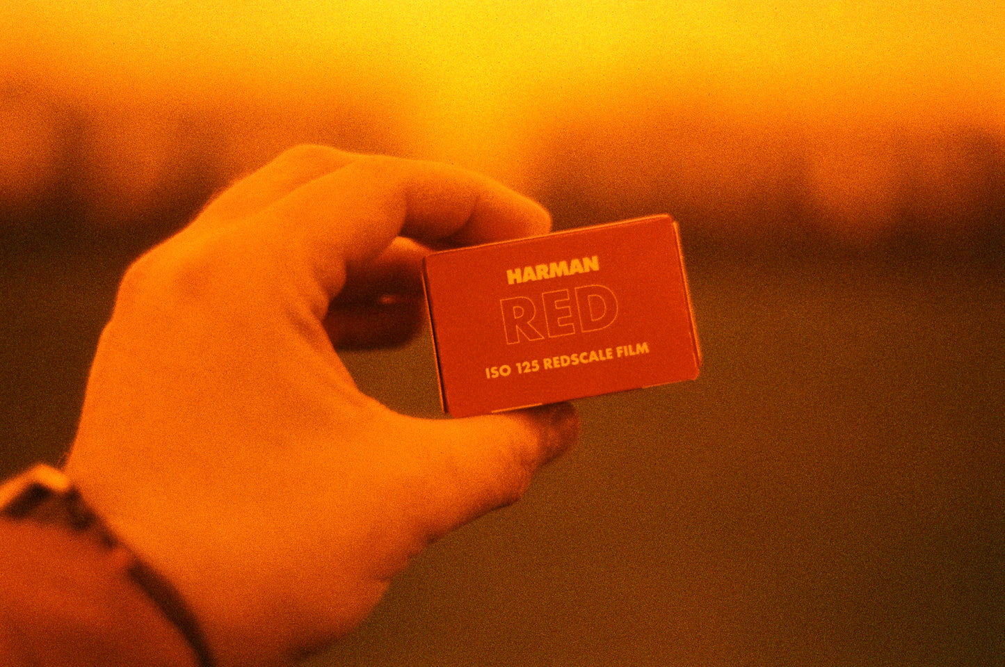 Harman RED 125 - 35mm film - 36 Exposures