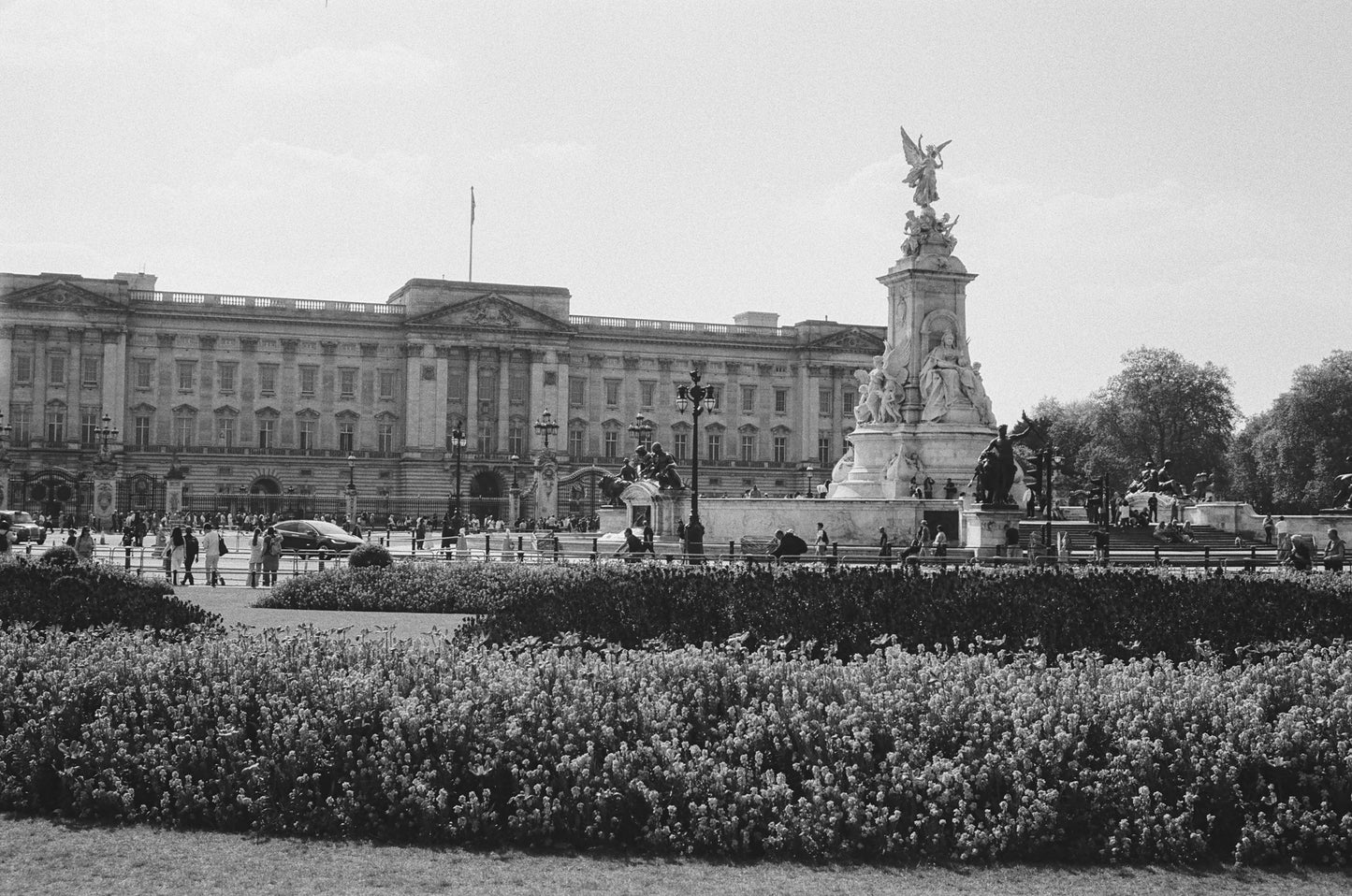 Kentmere 200 - B&W 35mm Film