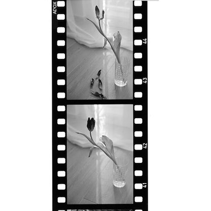 ADOX SCALA 50 - B&W (reversal film) 35mm Film - 36 Exposures