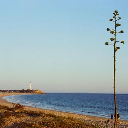 Candido 200 - 35mm film - 36 Exposures