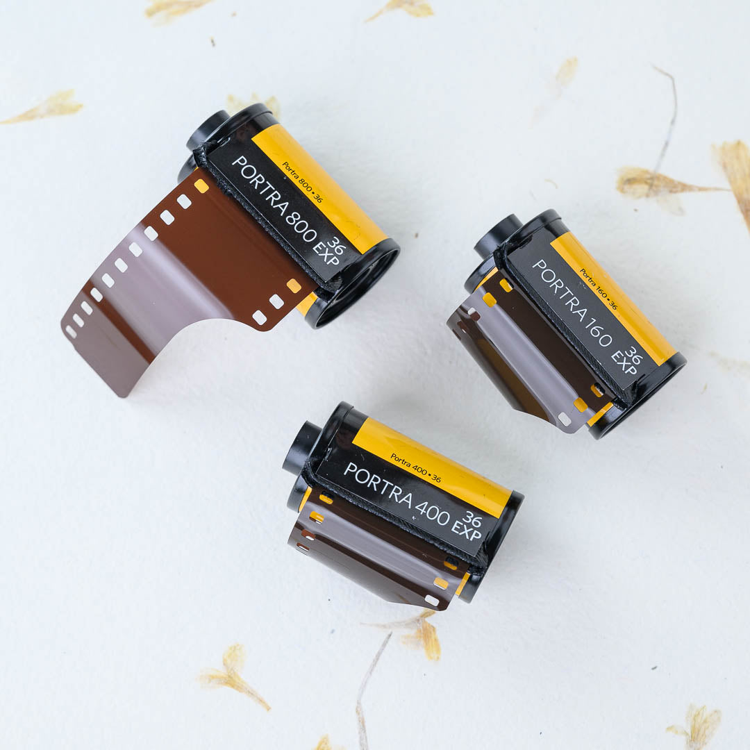 Kodak Portra 35mm Taster Bundle