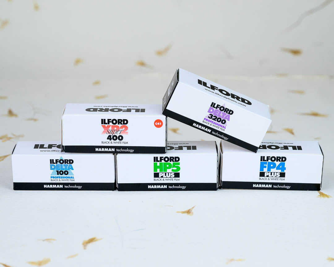 Ilford B&W Medium Format 120 Starter Bundle