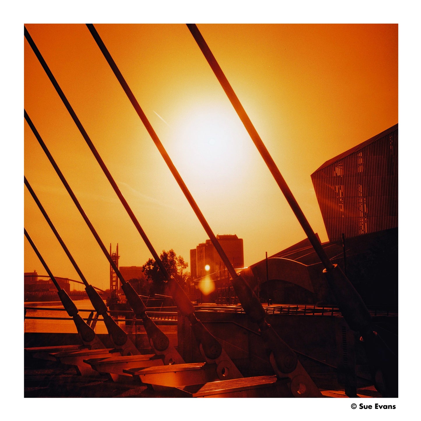 Harman RED 125 - 120 Film - Medium Format