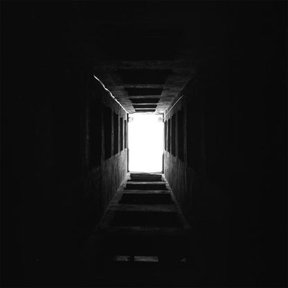 Rollei RPX 100 - 120 Medium Format Film