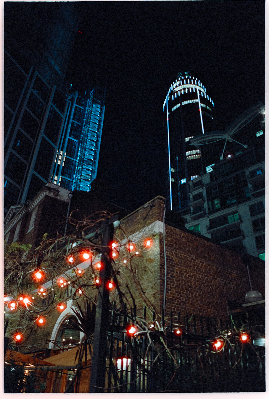 Cinestill 800T - 35mm - 36 exposures