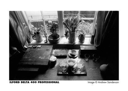 Ilford Delta 400 - B&W 35mm - 30.5m Bulk Film