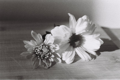DragonFilm No 2 - 35mm B&W film