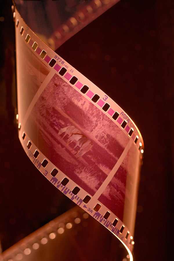 35mm Film Processing Stuck in Film