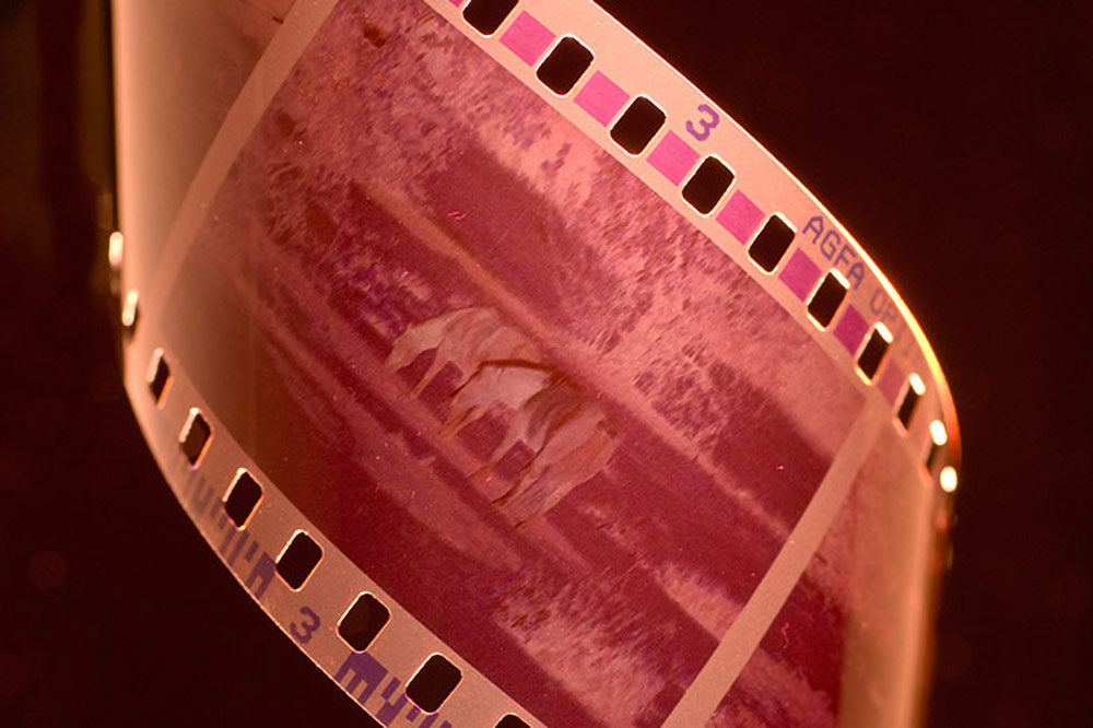 Film Processing & Scanning