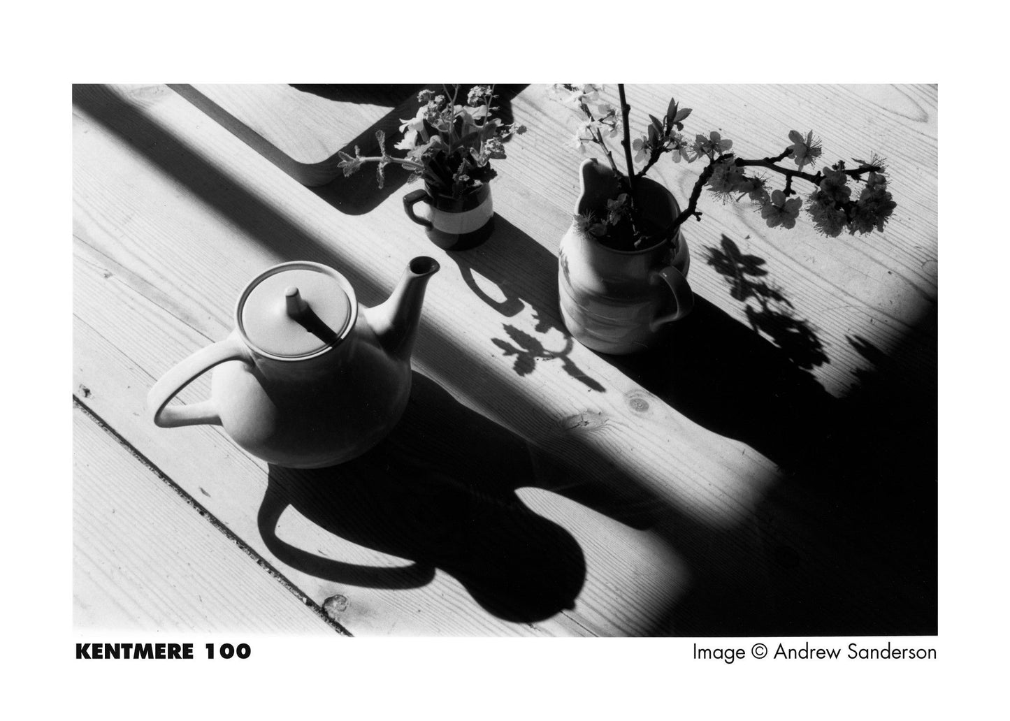 Kentmere 100 - B&W 35mm  - 30.5m Bulk Film