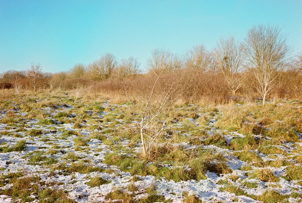 Kodak Kodacolor 100 - 35mm film