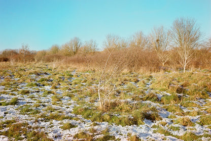 Kodak Kodacolor 100 - 35mm film