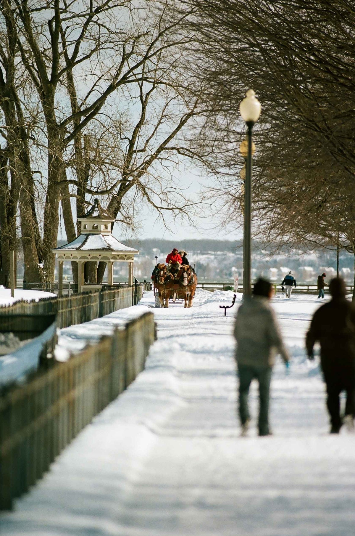 KODAK Eastman EKTACOLOR PRO 160 - 120 Medium Format Film