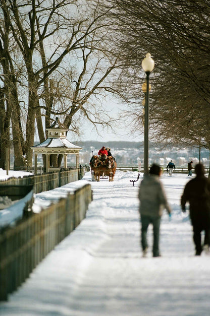 KODAK Eastman EKTACOLOR PRO 160 - 120 Medium Format Film