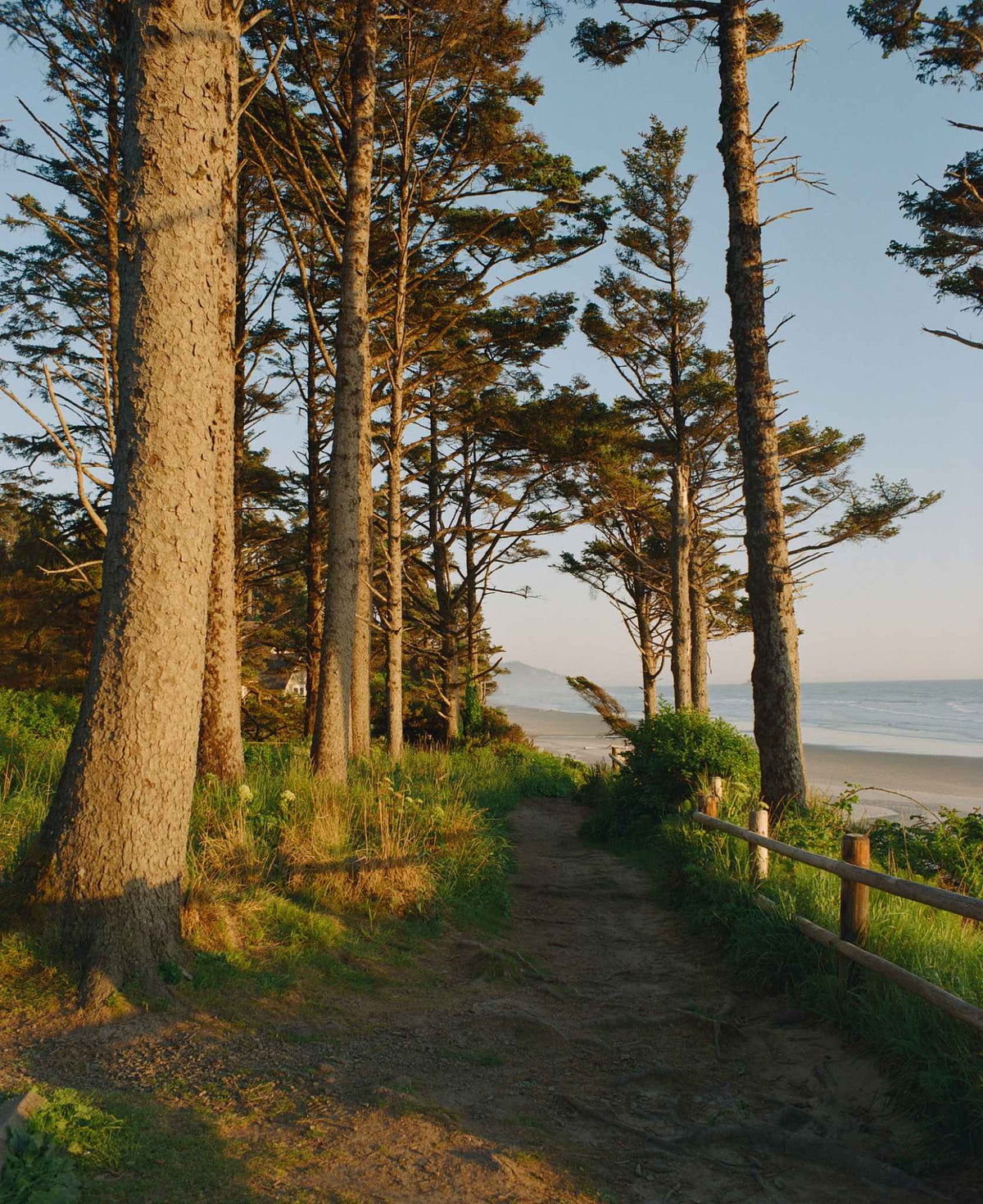 KODAK Eastman EKTACOLOR PRO 800 - 35mm Film