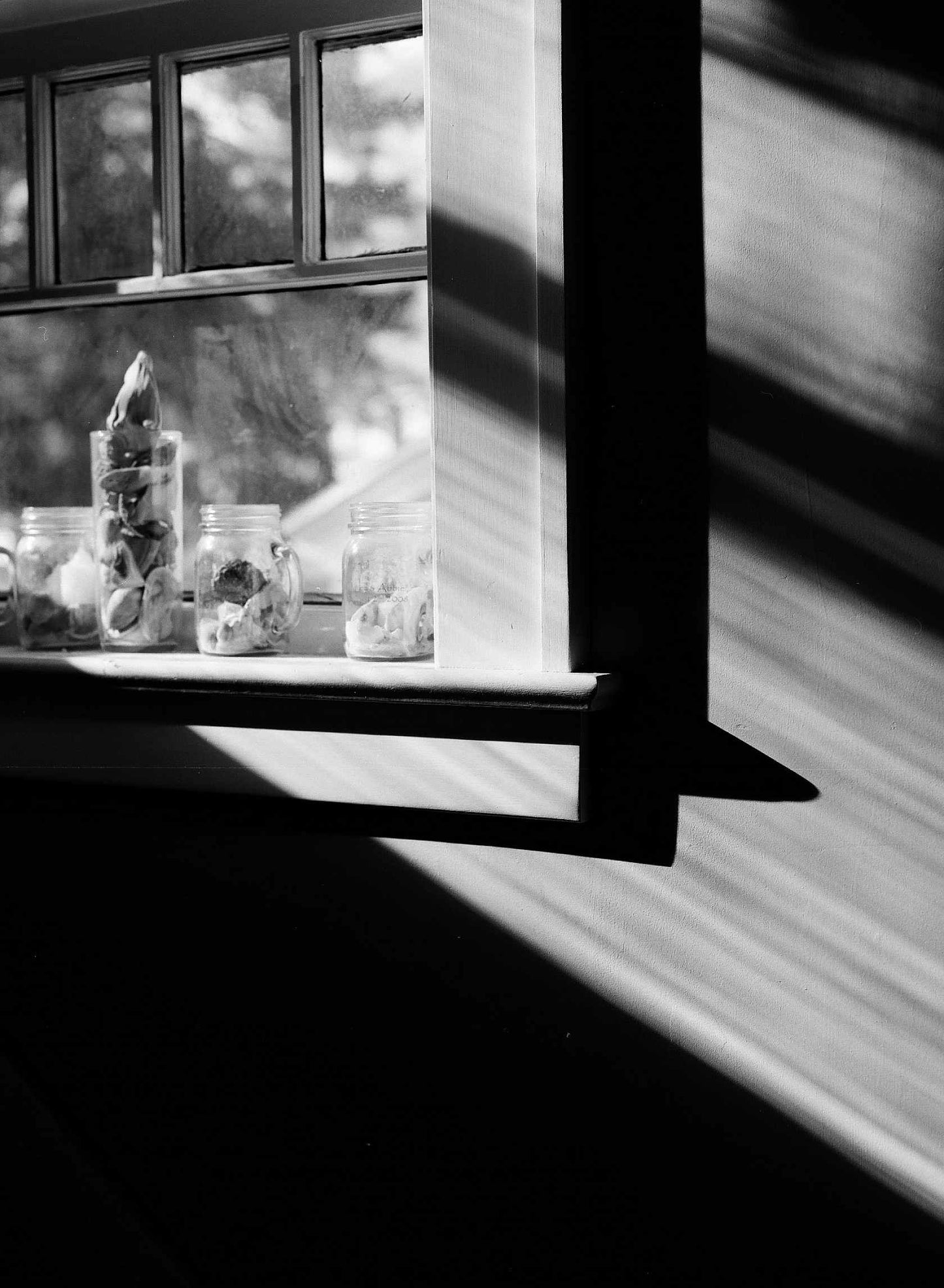 Kodak Eastman EKTAPAN 100 - 120 Medium Format B&W Film