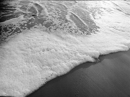 Kodak Eastman TRI-X 400 - 35mm Film