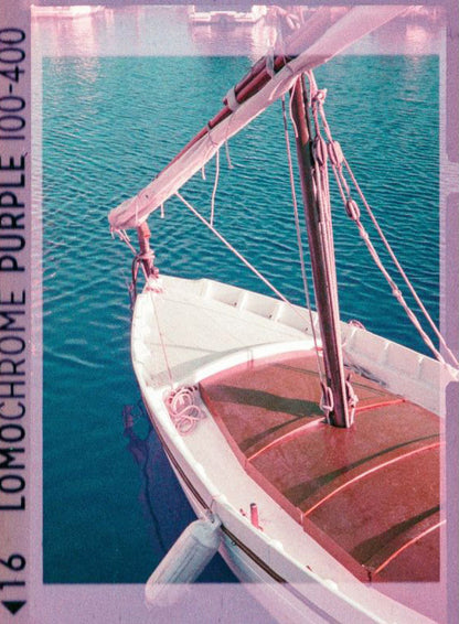 LomoChrome Purple ISO 100–400 - 110 Film